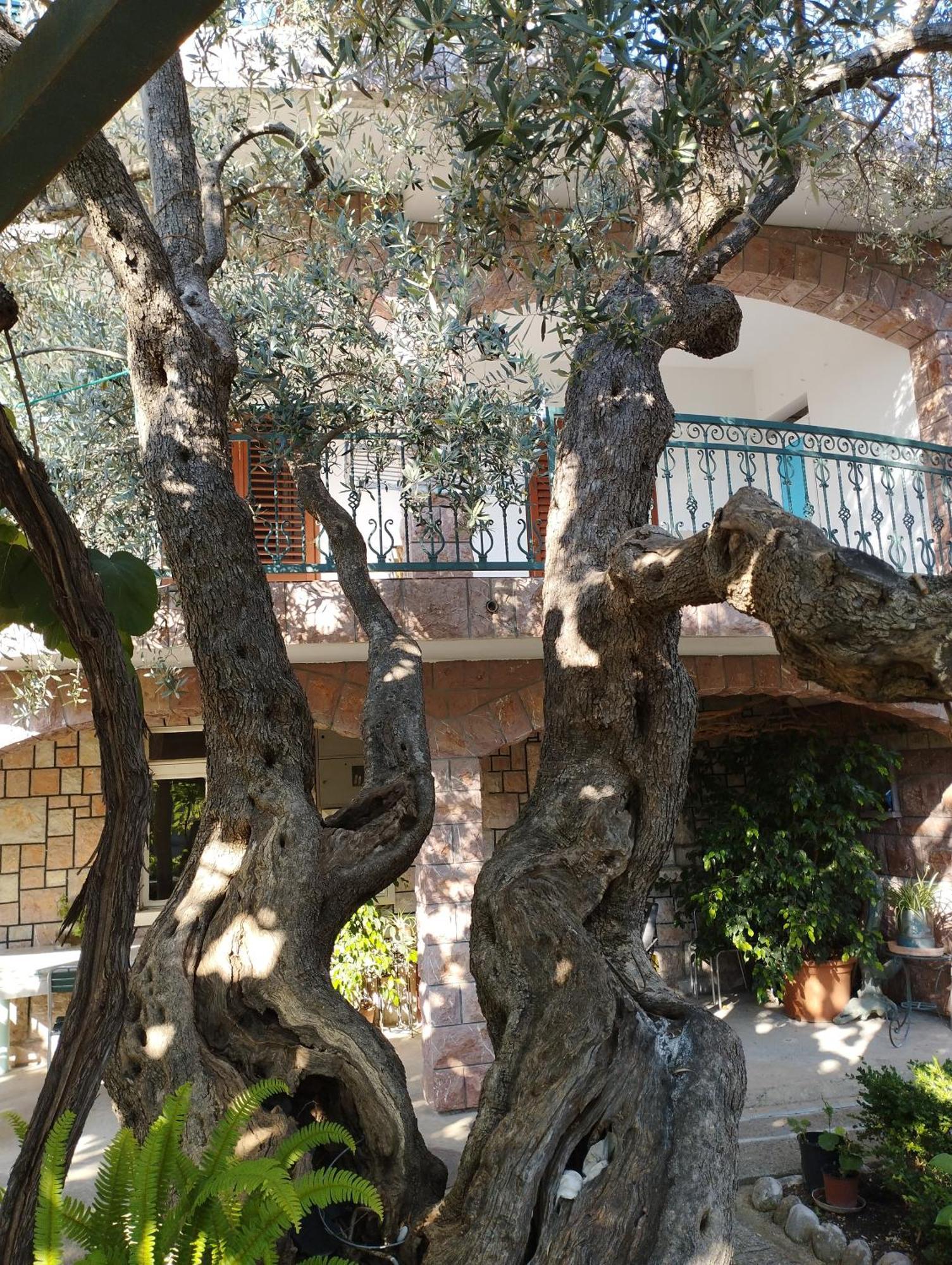 Zoro Apartments Ilha Sveti Stefan Quarto foto